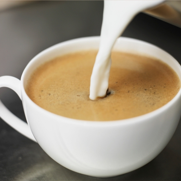 Sütlü Americano